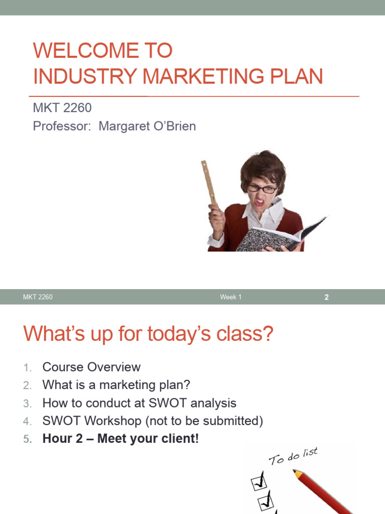 Industry Marketing Plan Overview | PDF | Marketing | Market Segmentation