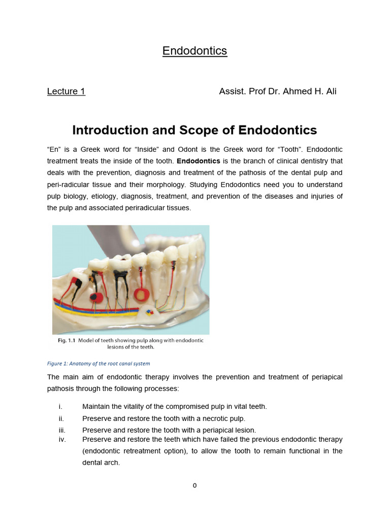Lec 1 | PDF | Human Tooth | Dentistry Branches
