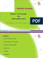 Tree Prompts in Report Studio