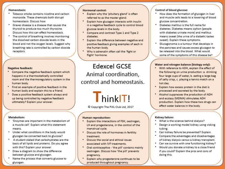 Topic 7 POSTER Homeostasis Animal Coordination and Control | PDF ...