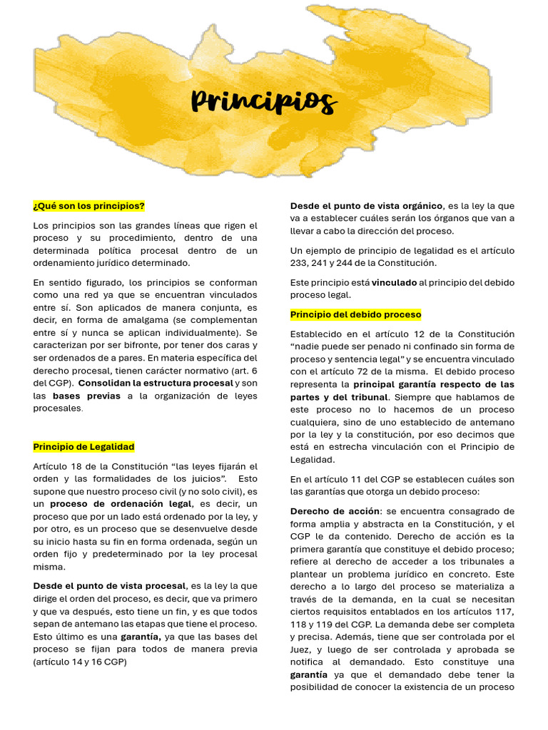 Principios del Derecho Procesal | PDF | Ley procesal | Debido al proceso
