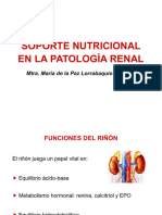 Clase 30. Soporte Nutricional en La Patología Renal