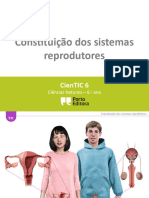 Constituicao Dos Sistemas Reprodutores