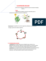 nutricion celular y de plantas resumen