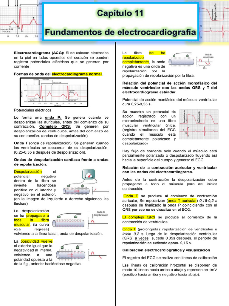 Cap 11 | PDF