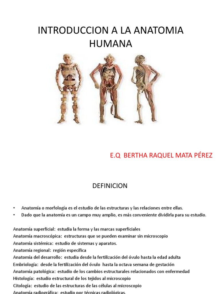 Guía Completa de Anatomía Humana | PDF | Términos anatómicos de ubicación |  Abdomen, image size:768x1024