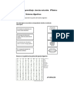 Guía de Aprendizaje Ciencias Naturales 8ºbásico