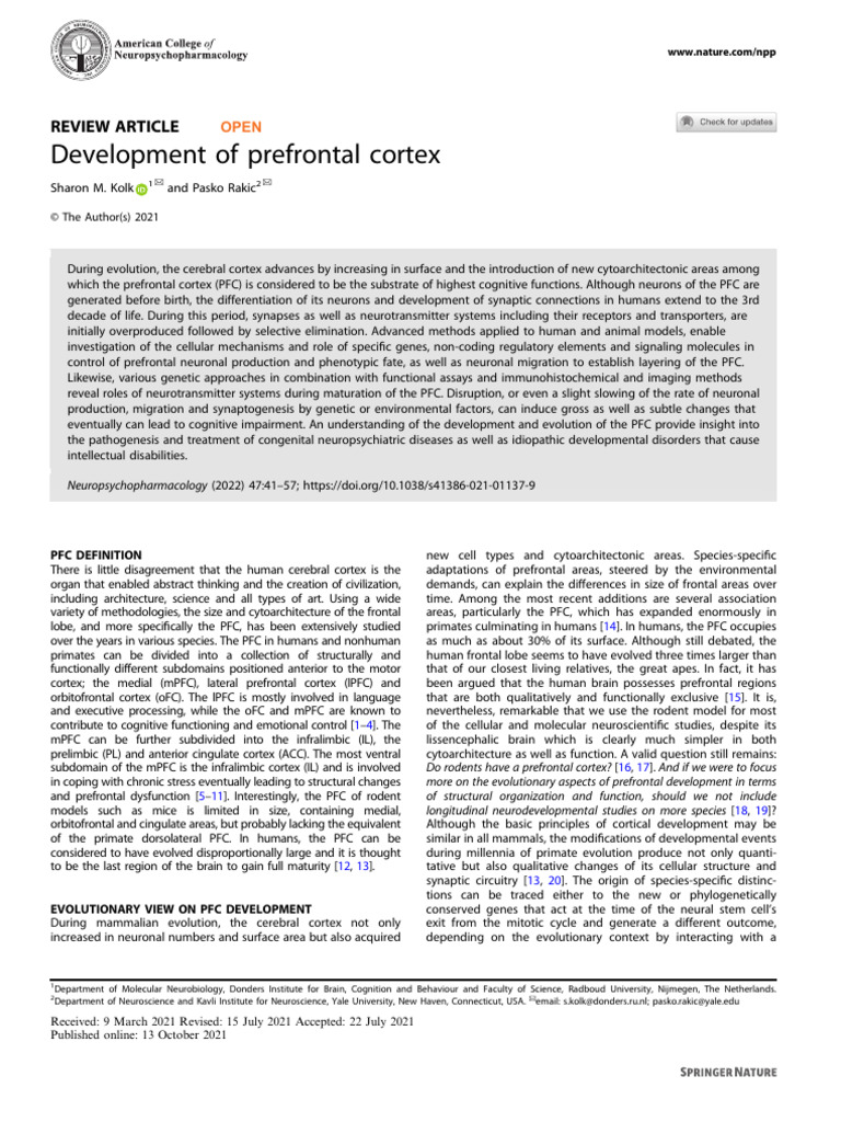 Artigo 2 | PDF | Cerebral Cortex | Prefrontal Cortex