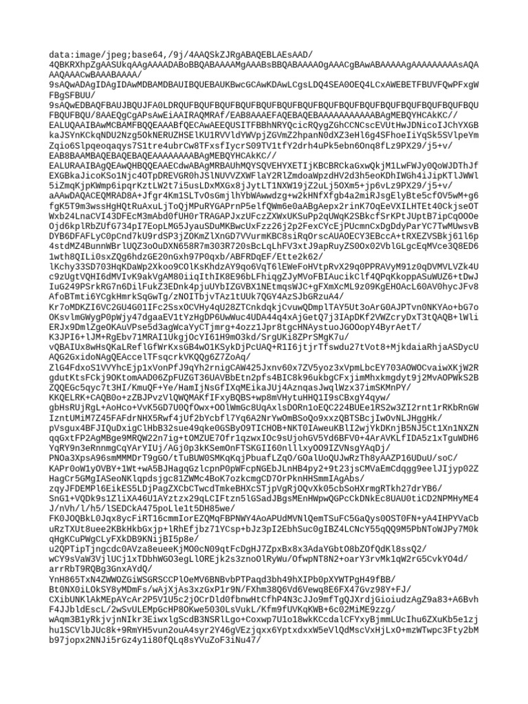 Image Data in Base64 Format | PDF