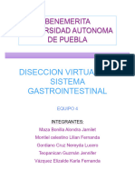 Diseccion Virtual Del Sistema Gastrointestinal