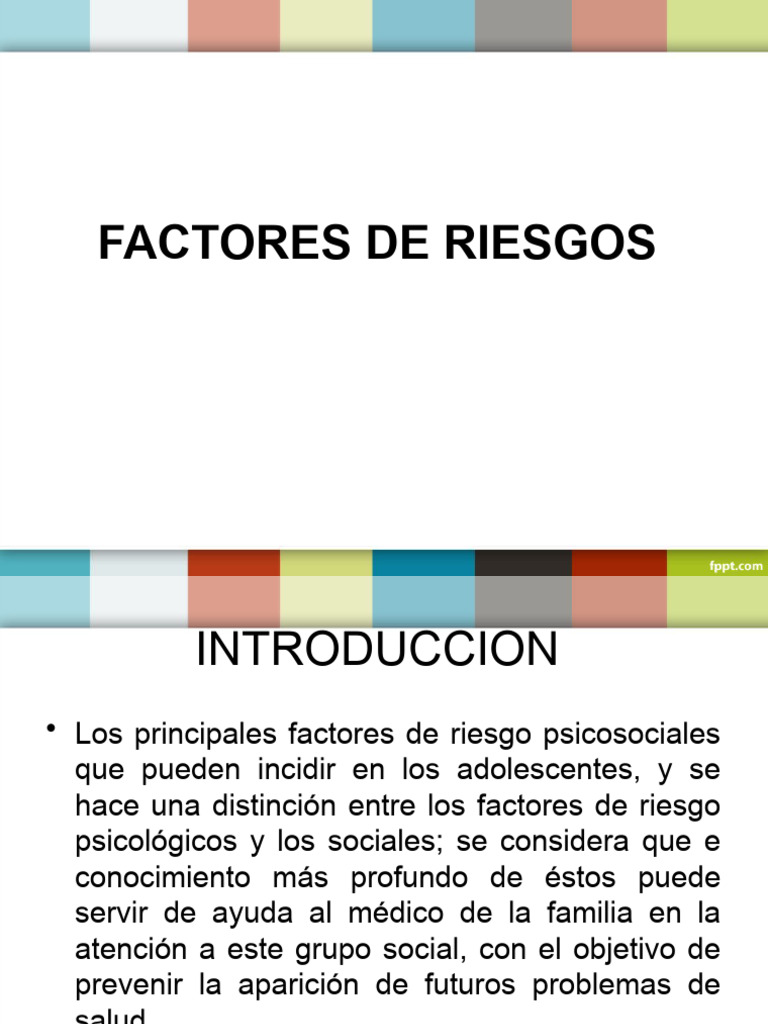 Factores de Riesgos | PDF