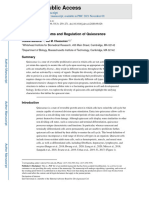 Cellular Mechanisms and Regulation of Quiescence