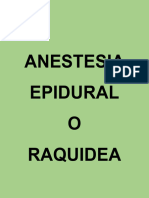 Anestesia Epidural o Raquidea