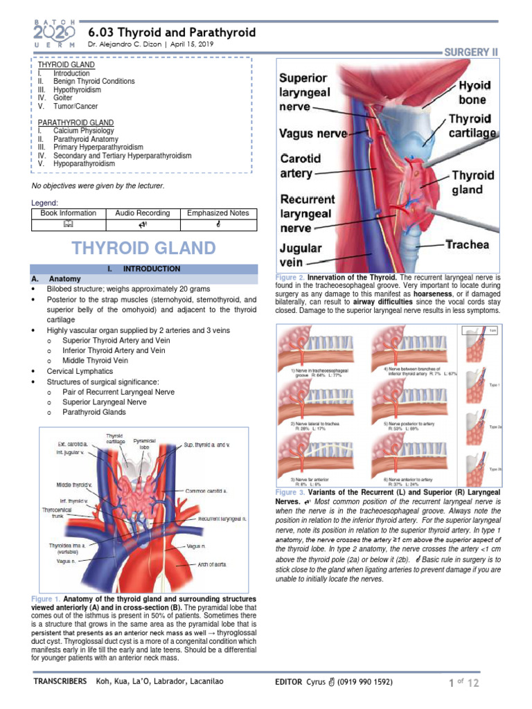 Surg Ii 6 03 Thyroid And Parathyroid Dr Dizon Pdf Thyroid