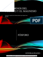 Fósforo y Magnesio