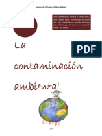 La Contaminacion Ambiental