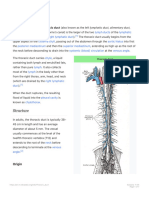 Thoracic Duct - Wikipedia