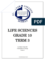 LS Term 3 2023