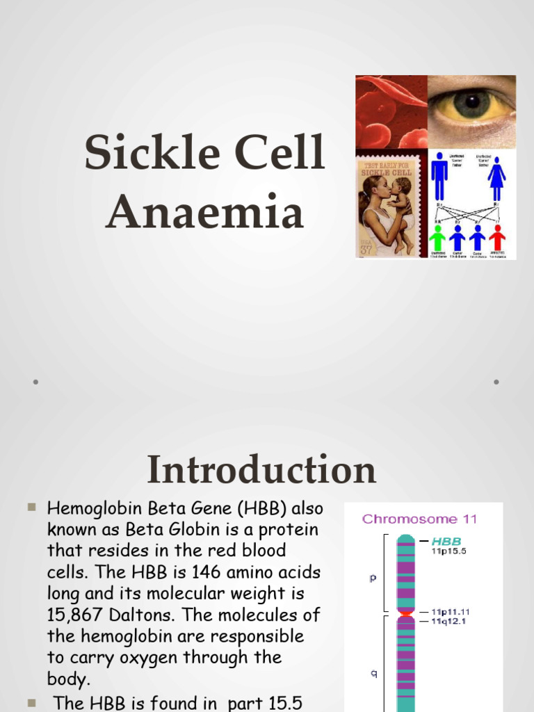 Sickle Cell Anaemia | PDF | Anemia | Clinical Medicine