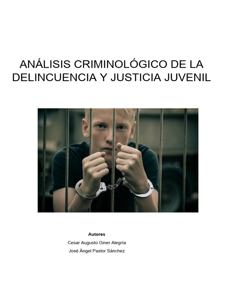 Medidas de Responsabilidad Penal Juvenil | PDF | La delincuencia ...
