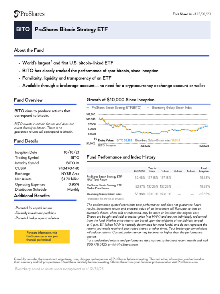 ProShares Bitcoin Strategy ETF Overview | PDF | Investment Fund | Futures  Contract