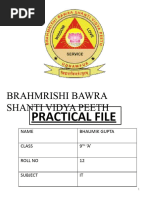 Brahmrishi Bawra Shanti Vidya Peeth: Practical File