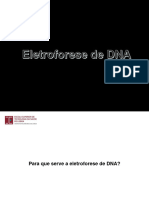 Eletroforese DNA - Sequenciação