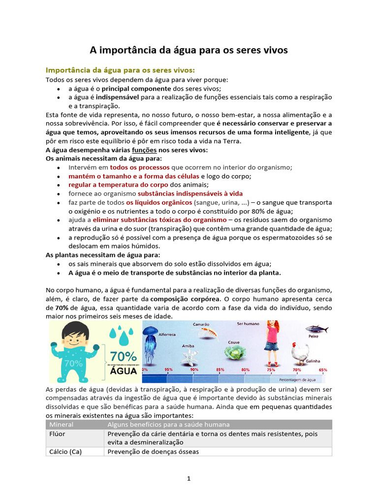 A importância da água para os seres vivos | PDF | Água | Ciclo da água
