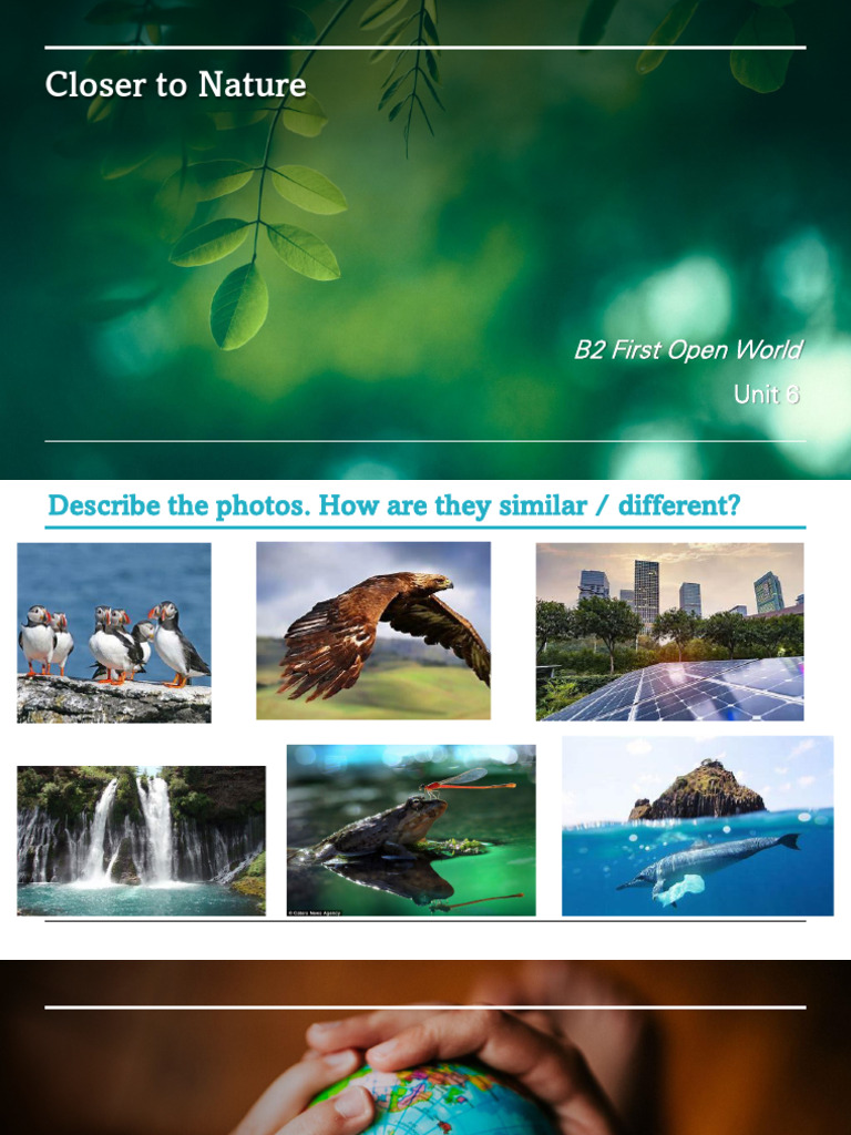 Environmental Vocabulary and Issues Guide | PDF | Climate Change ...