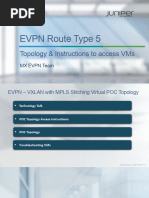 Evpn Route Type 5