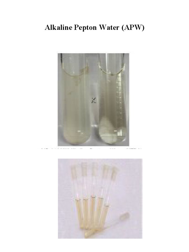 Media Alkaline Pepton Water untuk Vibrio | PDF