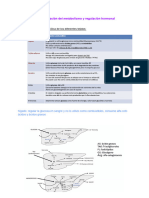 T.16. Integración Del Metabolismo y Regulación Hormonal