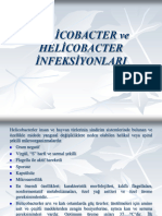 34HELİCOBACTER