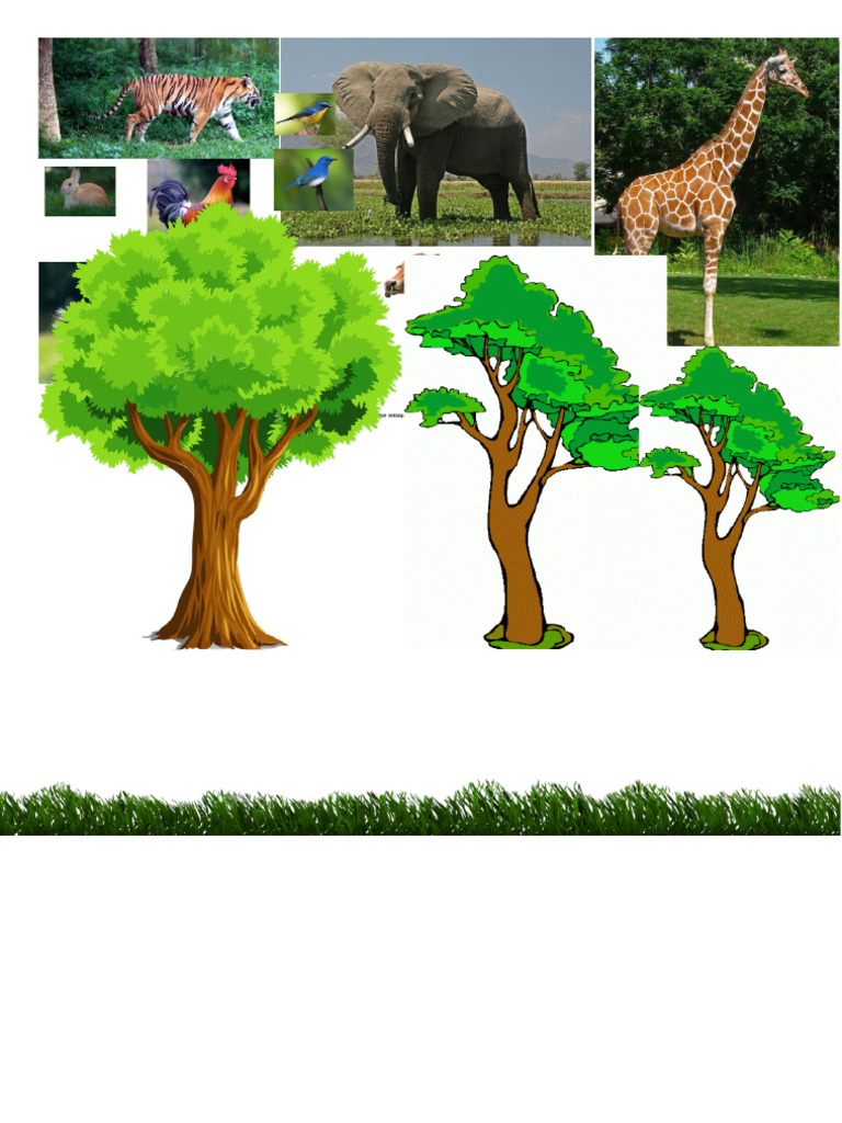 hewan montase PDF