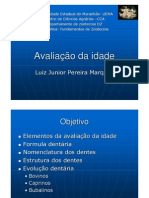 Avaliação Da Idade