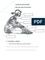 Fichas de Aplicación Articulaciones