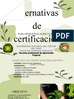 Certificacion para Pequeños Productores - Grupo 6....