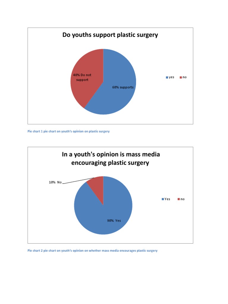 Pie Chart With Caption PDF Mass Media Public Opinion