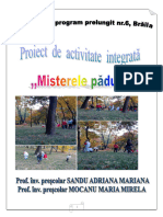 Proiect Activitate Integrata Outdoor DS DEC Sandu A Mocanu M