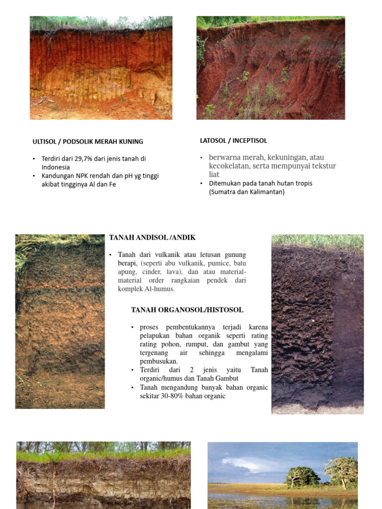 Jenis-Jenis Tanah di Indonesia | PDF