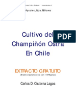 Cultivo del Champiñón Ostra En Chile