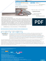 Recorrido del semen MedlinePlus enciclopedia médica illustración