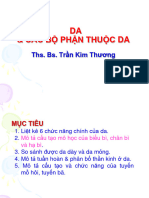 Da Va Cac Bo Phan Cua Da