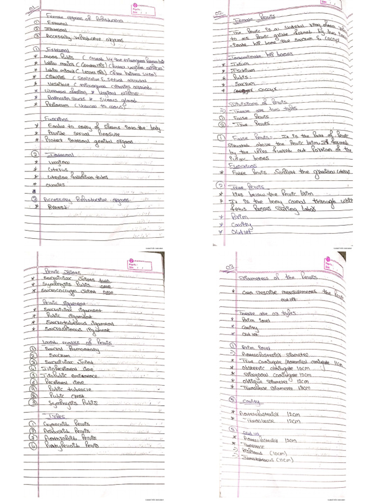 CamScanner Document Log | PDF