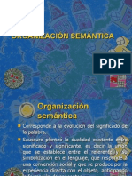 Organización Semantica