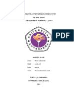 LAPORAN PRAKTIKUM PSIKOLOGI KOGNITIF Feature Detection