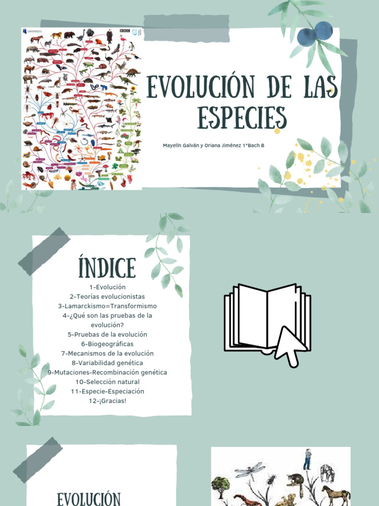 Teorías y pruebas de la evolución | PDF | Evolución | Seleccion natural
