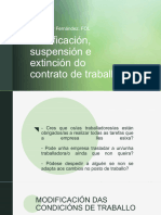 MODIFICACIÓN SUSPENSIÓN E EXTINCIÓN (2)