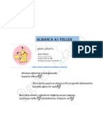 Almanca A1 Fi̇i̇ller PDF