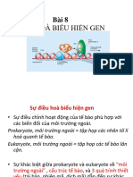 9 SHPT- Điều hòa biểu hiện gen-converti